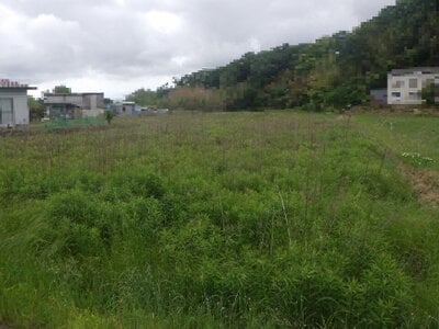 (値下げ) 兵庫県神戸市西区 緑が丘駅20分 農地 42万円の国税庁公売物件 #1