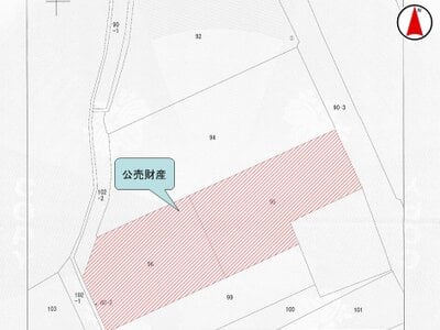 (値下げ) 兵庫県神戸市西区 緑が丘駅20分 農地 42万円の国税庁公売物件 #2
