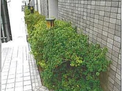 兵庫県神戸市中央区 貿易センター駅2分 マンション「パルシオ三宮フラワーロード」441万円の競売物件 #8