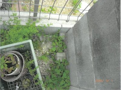 大阪府大阪市住之江区 七道駅12分 土地 168万円の競売物件 #4