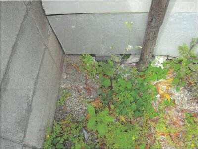 大阪府大阪市住之江区 七道駅12分 土地 168万円の競売物件 #6