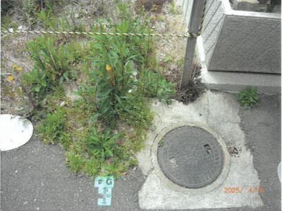 大阪府大阪市住之江区 七道駅12分 土地 168万円の競売物件 #7