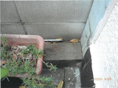 大阪府大阪市住之江区 住之江公園駅12分 土地 836万円の競売物件 #12
