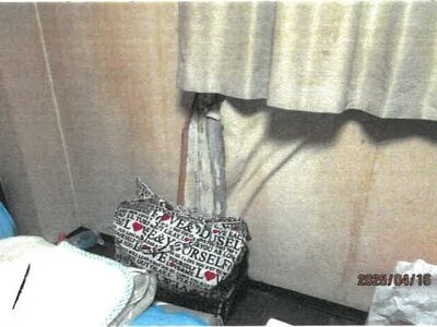 大阪府大阪市生野区 北巽駅3分 戸建て 1,593万円の競売物件 #10