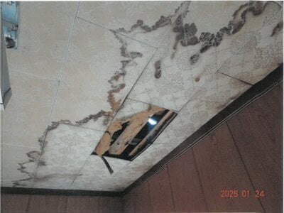 大阪府守口市 西三荘駅15分 戸建て 767万円の競売物件 #10
