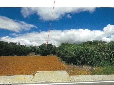 沖縄県国頭郡本部町 土地 228万円の競売物件 #10
