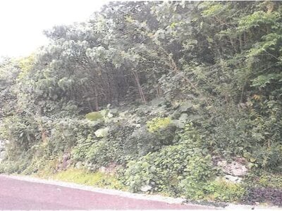 沖縄県糸満市 赤嶺駅 土地 1,144万円の競売物件 #2
