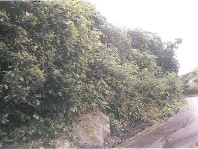 沖縄県糸満市 赤嶺駅 土地 1,144万円の競売物件 #3