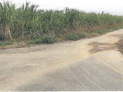 沖縄県八重山郡竹富町 農地 90万円の競売物件 #1