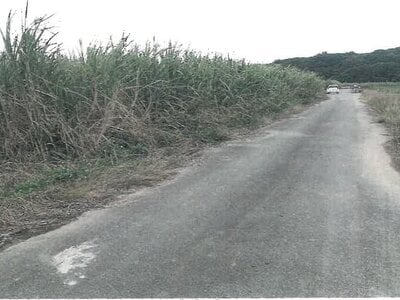 沖縄県八重山郡竹富町 農地 90万円の競売物件 #2