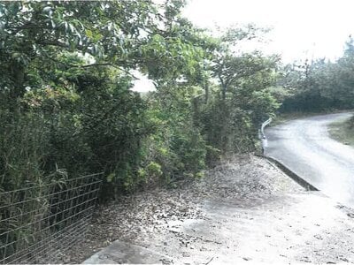 沖縄県国頭郡大宜味村 農地 78万円の競売物件 #1