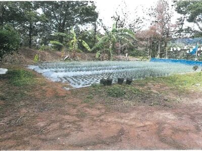 沖縄県国頭郡大宜味村 農地 78万円の競売物件 #3