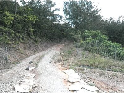 沖縄県国頭郡大宜味村 農地 275万円の競売物件 #1