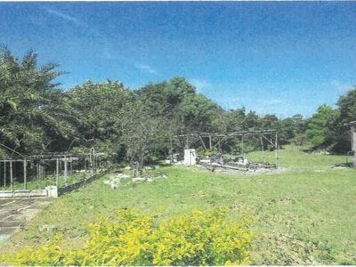 沖縄県国頭郡大宜味村 農地 338万円の競売物件 #3