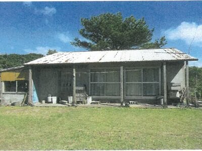 沖縄県国頭郡大宜味村 農地 338万円の競売物件 #4