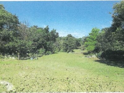 沖縄県国頭郡大宜味村 農地 338万円の競売物件 #5