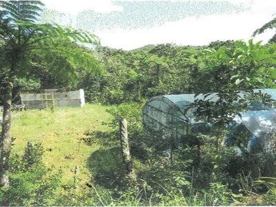 沖縄県国頭郡大宜味村 農地 338万円の競売物件 #6