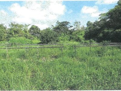 沖縄県国頭郡大宜味村 農地 338万円の競売物件 #8