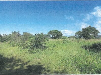 沖縄県国頭郡大宜味村 農地 338万円の競売物件 #9