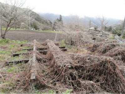(値下げ) 群馬県沼田市 農地 1万円の競売物件 #3