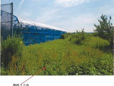 (値下げ) 青森県三戸郡南部町 諏訪ノ平駅10分 農地 89万円の競売物件 #1