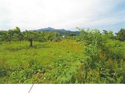 (値下げ) 青森県三戸郡南部町 諏訪ノ平駅10分 農地 89万円の競売物件 #10