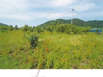 (値下げ) 青森県三戸郡南部町 諏訪ノ平駅10分 農地 89万円の競売物件 #12