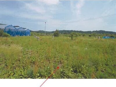 (値下げ) 青森県三戸郡南部町 諏訪ノ平駅10分 農地 89万円の競売物件 #13