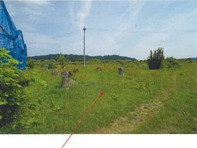 (値下げ) 青森県三戸郡南部町 諏訪ノ平駅10分 農地 89万円の競売物件 #3