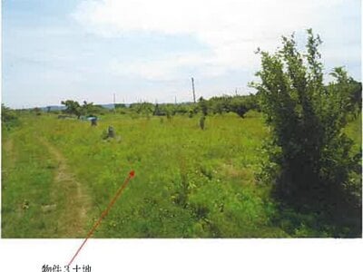 (値下げ) 青森県三戸郡南部町 諏訪ノ平駅10分 農地 89万円の競売物件 #4