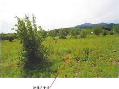 (値下げ) 青森県三戸郡南部町 諏訪ノ平駅10分 農地 89万円の競売物件 #5