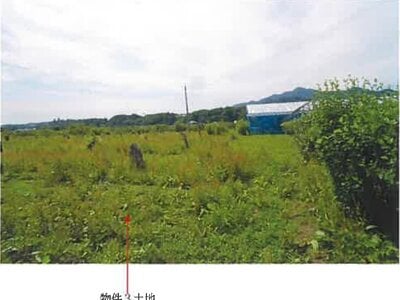 (値下げ) 青森県三戸郡南部町 諏訪ノ平駅10分 農地 89万円の競売物件 #6