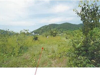 (値下げ) 青森県三戸郡南部町 諏訪ノ平駅10分 農地 89万円の競売物件 #7