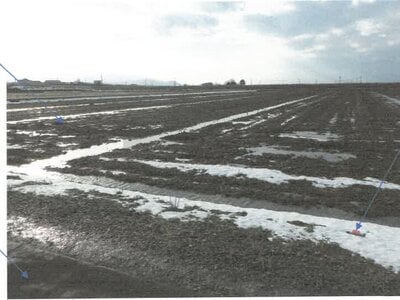 福井県坂井市 下兵庫こうふく駅17分 農地 188万円の競売物件 #2
