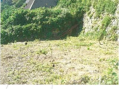 静岡県賀茂郡東伊豆町 伊豆稲取駅10分 農地 9万円の競売物件 #2