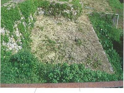 静岡県賀茂郡東伊豆町 伊豆稲取駅10分 農地 9万円の競売物件 #3