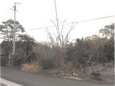 宮崎県日南市 榎原駅5分 土地 58万円の競売物件 #11