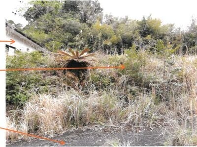 宮崎県串間市 串間駅 戸建て 242万円の競売物件 #17