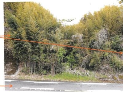 宮崎県串間市 串間駅 戸建て 242万円の競売物件 #21