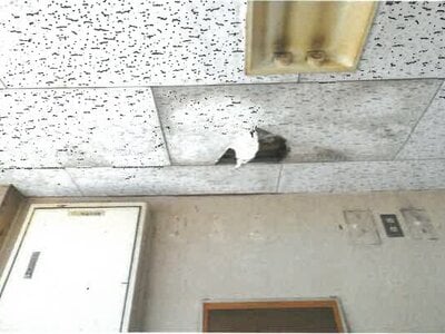(値下げ) 岡山県高梁市 戸建て 138万円の競売物件 #39
