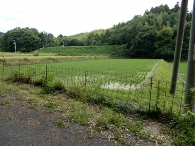 香川県仲多度郡まんのう町 塩入駅20分 農地 24万円の官公庁公売物件 #1