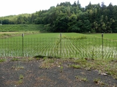 香川県仲多度郡まんのう町 塩入駅20分 農地 24万円の官公庁公売物件 #2