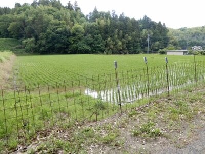 香川県仲多度郡まんのう町 塩入駅20分 農地 24万円の官公庁公売物件 #3