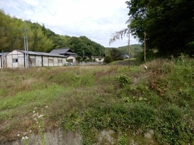 香川県仲多度郡まんのう町 塩入駅21分 農地 8万円の官公庁公売物件 #3