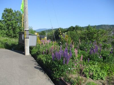 北海道小樽市 小樽駅 土地 73万円の官公庁公売物件 #4