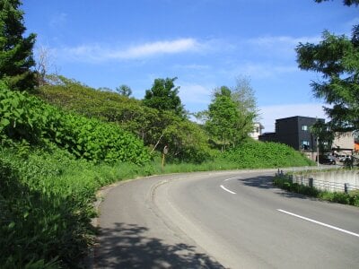 北海道小樽市 小樽駅 土地 73万円の官公庁公売物件 #6