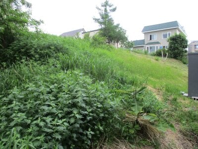 北海道小樽市 小樽駅 土地 73万円の官公庁公売物件 #9