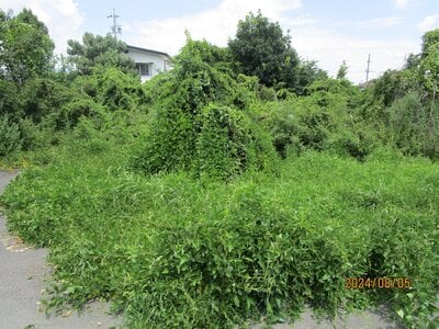 長野県長野市 安茂里駅 戸建て 6,196万円の官公庁公売物件 #3