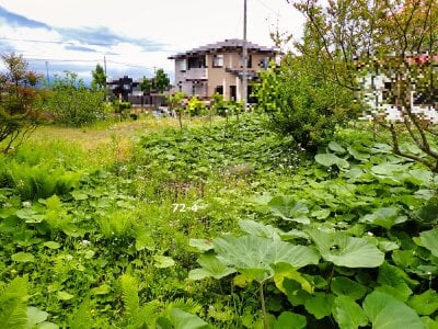 (値下げ) 岩手県奥州市 水沢駅26分 土地 190万円の官公庁公売物件 #3