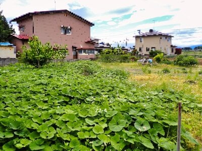 (値下げ) 岩手県奥州市 水沢駅26分 土地 190万円の官公庁公売物件 #4